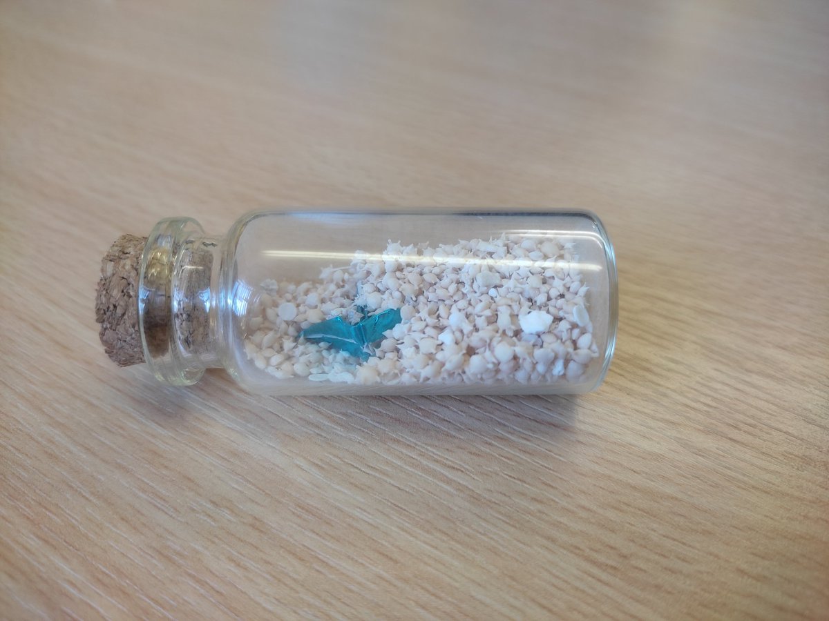 Hi foram people 🤗 Could anyone tell me if the famous Japanese sand composed forams (off Zamani Island) is made up of (mostly) planktic or benthic forams? Thanks in advance!