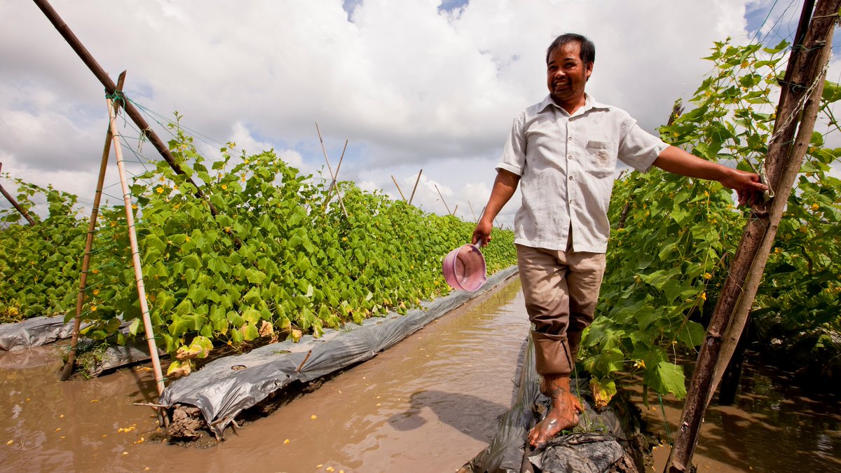 IFAD's tweet photo. As natural resources become scarcer, we cannot afford to use land, water and fuel to produce food that nobody will get to eat.

By helping small-scale producers reduce food loss, we work to:
✅ improve global food security
✅ protect the environment

#FLWDay https://t.co/3IwuNx8Oc6