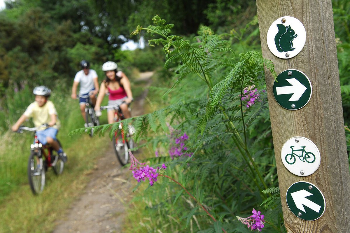 Visit North Norfolk (@vstnorthnorfolk) on Twitter photo **Win a short break** Enter our prize draw for the chance to win a short break in a holiday home at <a href="/KellingHeath/">Kelling Heath</a> in Weybourne. The Park is nestled in tranquil surroundings of woodland and rare open heathland, in an Area of Outstanding Natural Beauty bit.ly/3RoncFZ **Win a short break** Enter our prize draw for the chance to win a short break in a holiday home at <a href="/KellingHeath/">Kelling Heath</a> in Weybourne. The Park is nestled in tranquil surroundings of woodland and rare open heathland, in an Area of Outstanding Natural Beauty bit.ly/3RoncFZ