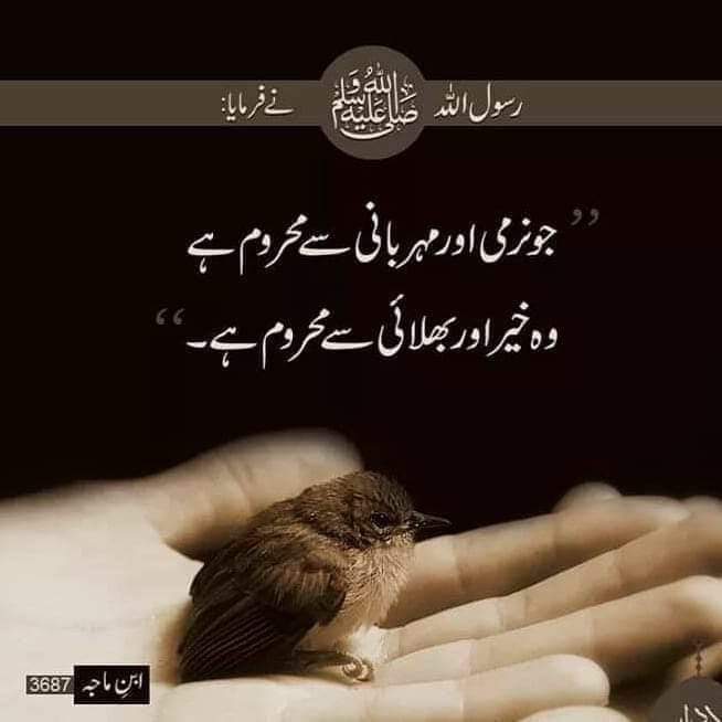 Nisha khan tweet media