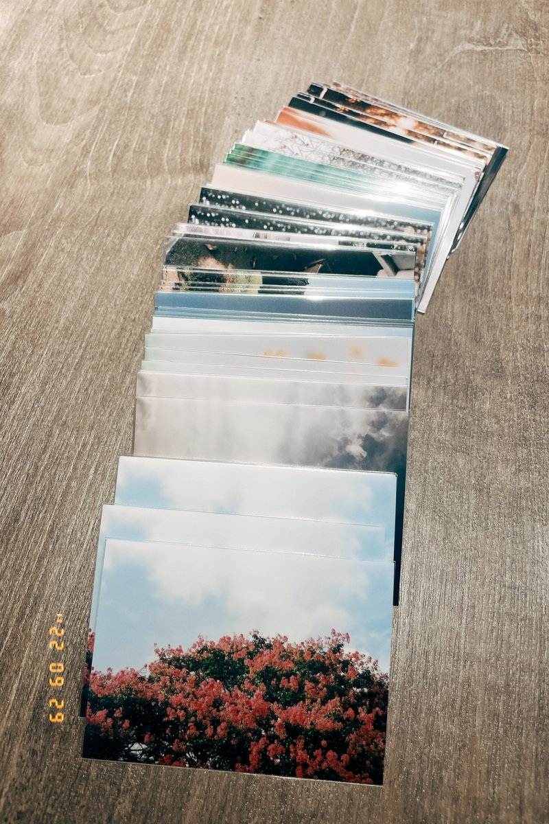 リュート/ filmの呼吸 tweet media