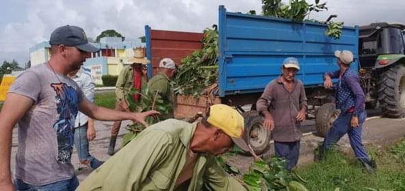 A recuperarnos con la participación de todos es el llamado en #PinardelRío #Cuba