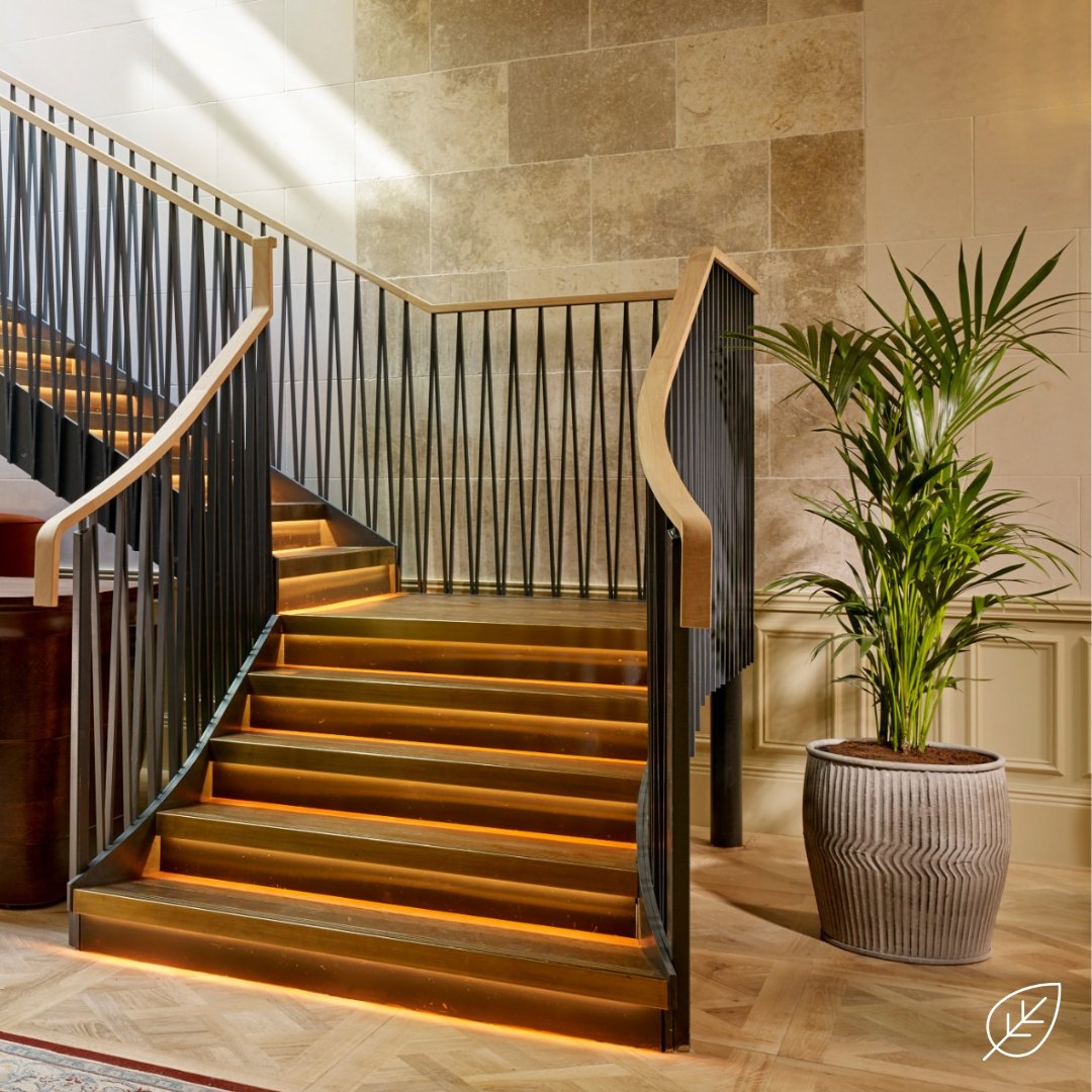 Not every install has to be loud Sometimes the simple addition of a great plant can be all the change you need! 🟩🌿🌴

#Officedesign #Officeplanting #Interiordesign #Biophilia #Plantingdesign