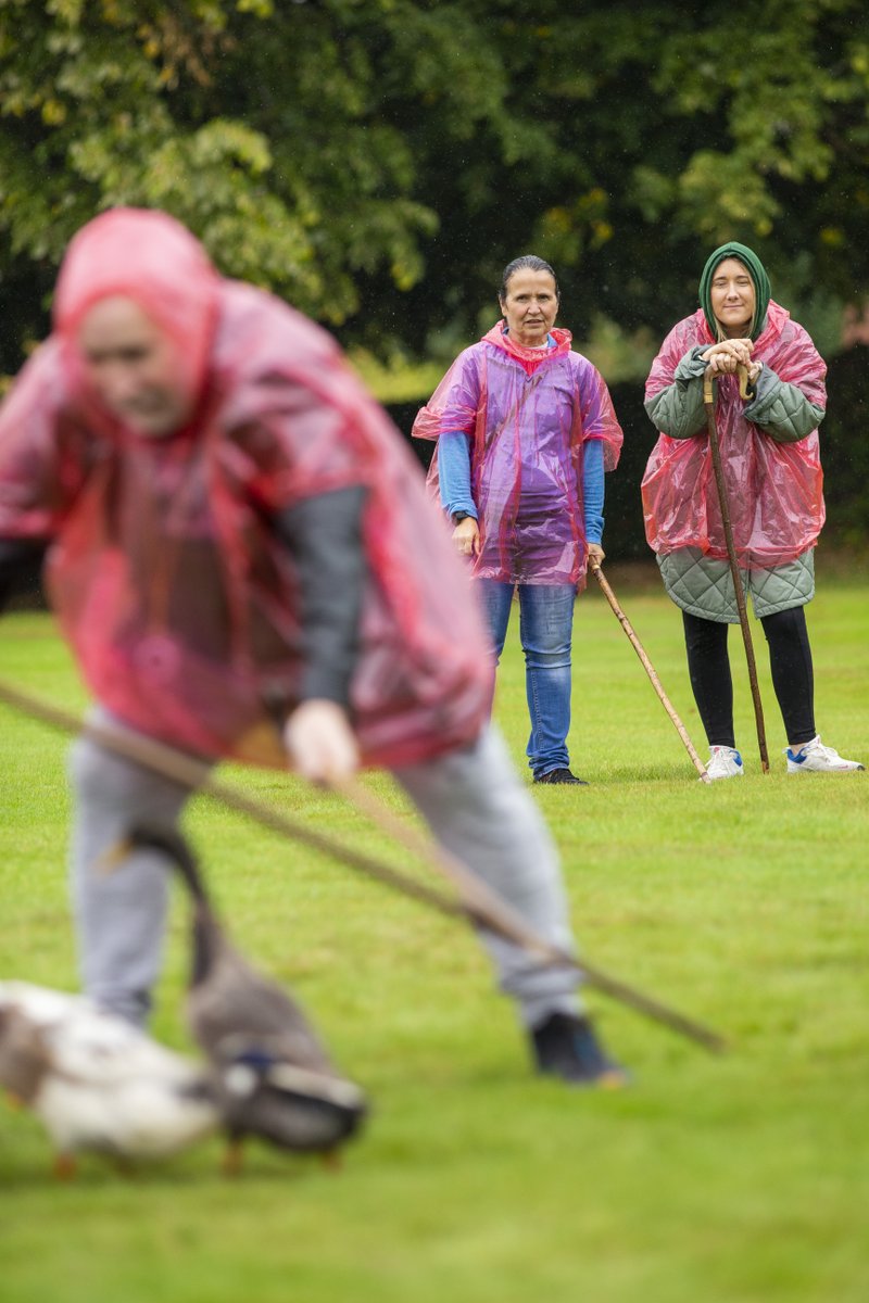 ThisDefinition's tweet photo. We had a quacking time at our #AwayDay! 🦆

Last week, the whole of @DefinitionGroup got together for a well deserved retreat. The day was filled with #fun, #teambuilding #learning and #development. 

📸 Here's the team in action! https://t.co/wQT0I0ioU6
