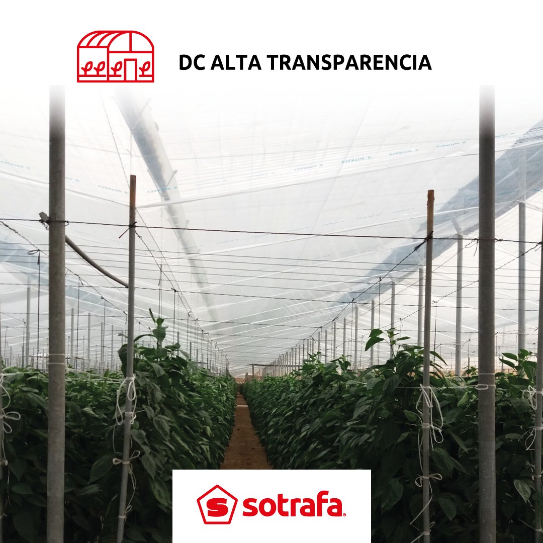 ¿Necesitas preparar tu invernadero para el invierno?​
Nuestros filmes para doble cámara son tu mejor ​aliado para combatir las condiciones climáticas invernales.​

✔️Aumenta la temperatura​
✔️ Evita el goteo sobre el cultivo​
✔️ Mejora la ventilación​

 👉 sotrafa.com/doble-camara/a…