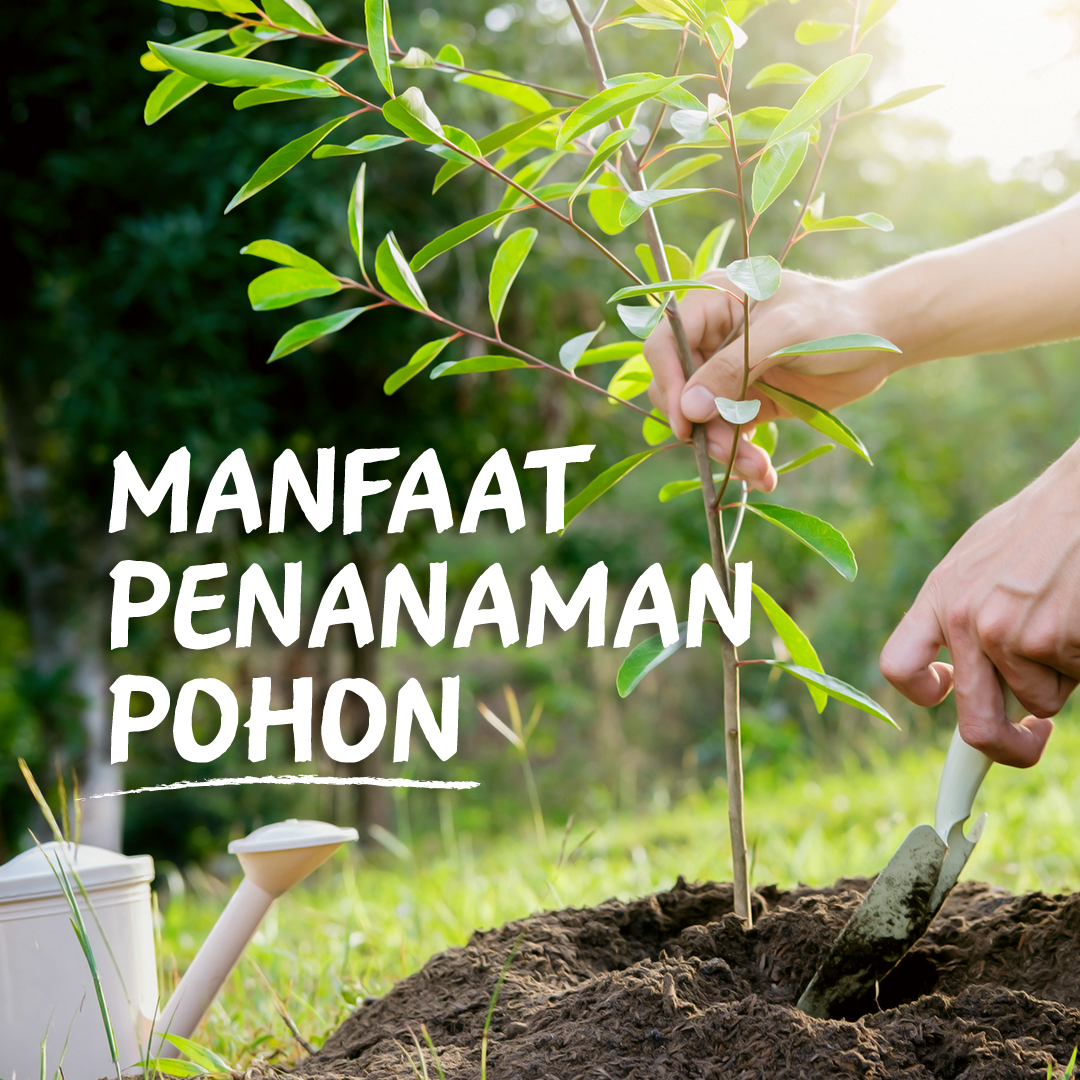 NestleIndonesia's tweet photo. Pohon memiliki peran yang sangat penting bagi bumi kita. Penebangan pohon dapat membawa membawa berbagai dampak buruk bagi lingkungan, seperti polusi udara, banjir, juga cuaca ekstrem. https://t.co/w1DUhuLCi0