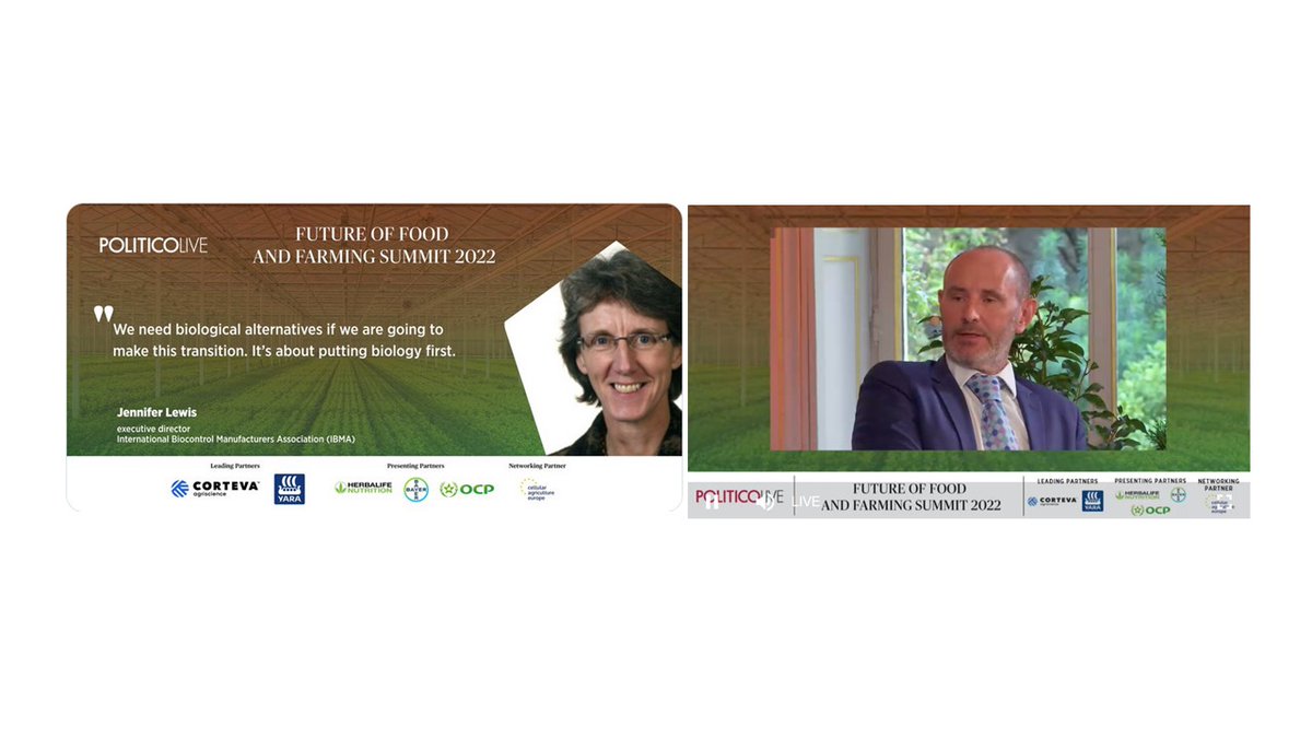 C.I.B.E. tweet media