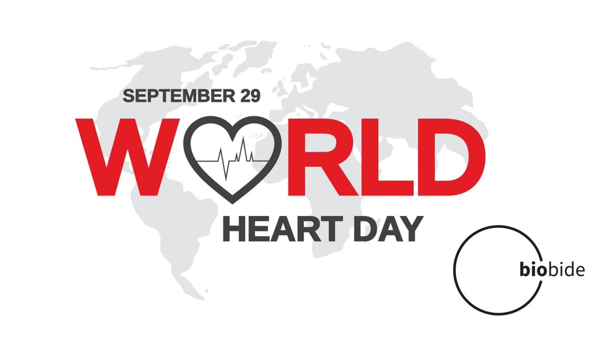 Biobide_'s tweet photo. #WorldHeartDay. Cardiovascular diseases are sadly very common in the society, and the research to prevent and cure them are highly neccesary.The zebrafish animal model can contribute in this cause! Find out how our cardio assay work in our recent blog post:https://t.co/CVyLXcJw4k https://t.co/maiLqgP3hi