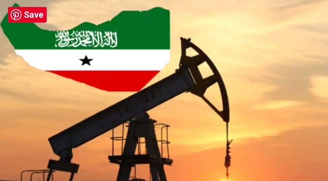 IshaqYu's tweet image. Somaliland The Mysterious Land

GOLD GAMSTON FRANKINCENSE OIL