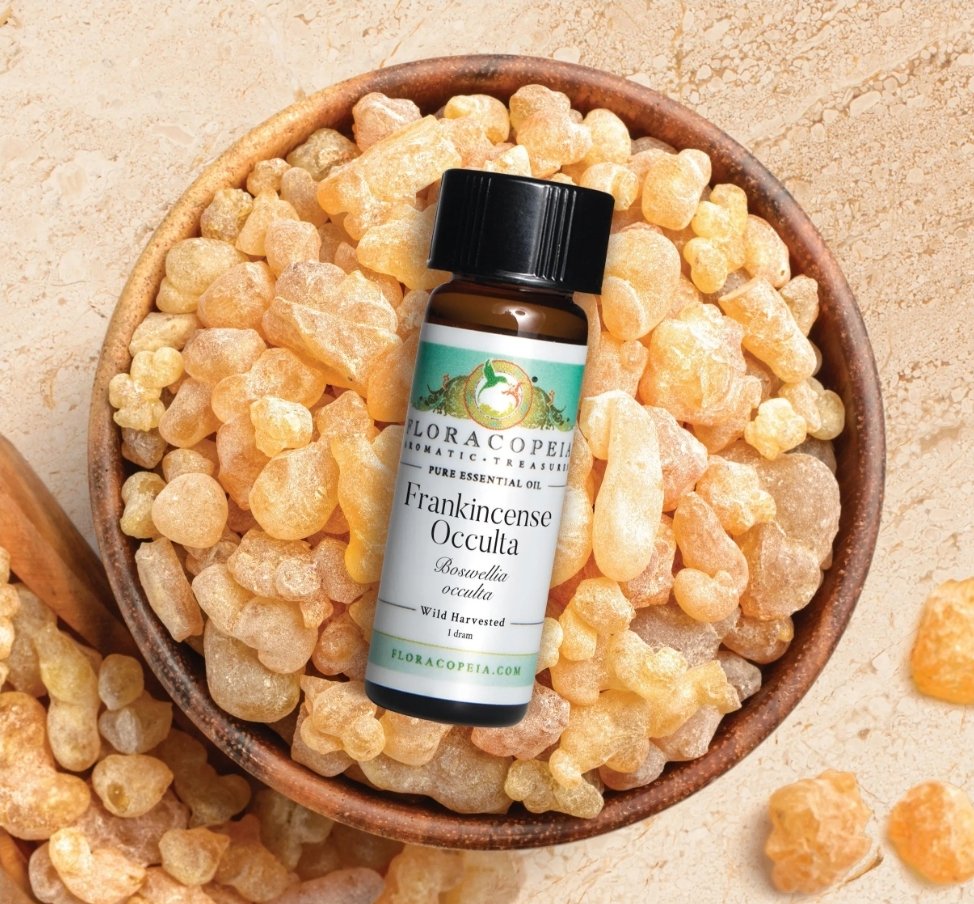 IshaqYu's tweet image. Somaliland The Mysterious Land

GOLD GAMSTON FRANKINCENSE OIL