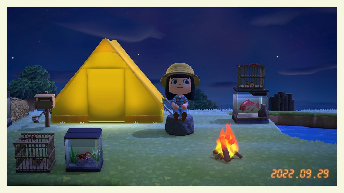 KnightPulu's tweet photo. #动物森友会 #AnimalCrossing #ACNH #NintendoSwitch https://t.co/0hBTi0EASj