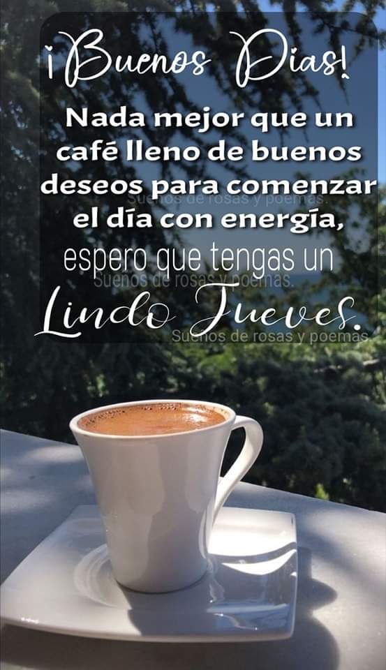 @Neidys_Mari Encuentra cada día una razón para estar feliz. Encuentra cada día una razón para sonreir. Siembra buenos sentimientos, sólo recoge lo que vale y vive cada día con la conciencia de que este inmenso regalo es todo lo que tenemos y lo que queremos.💞🌻🌹💞 Muy buenos hermosa🌤️🌷🌱.