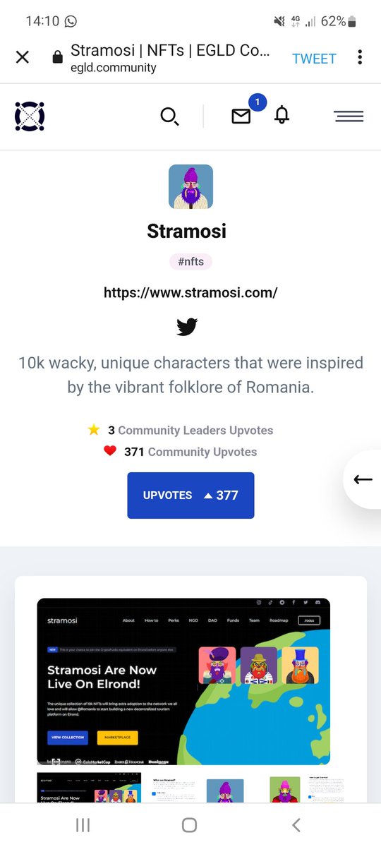 Timotei Georgescu tweet media