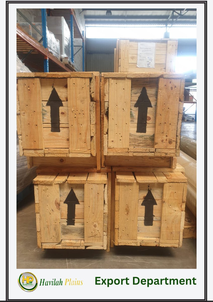 HavilahPlains's tweet photo. An International pick-up order being processed for export to Accra Airport for a happy customer.

Do you need to simplify your customs processing for import or export? 
Contact us now.
☎️ +233501446827/+233202051005
💻 sales@havilahplains.net https://t.co/1iLxEV77De