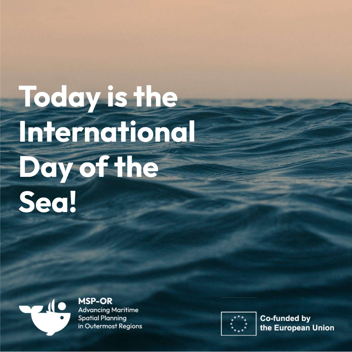 📢 Yes, today is the international day of the sea! 🌊🐟🐙 👉This day highlights the importance of the safety and security of maritime shipping, maritime industries and the protection of the marine environment. #MSPforRUP #EMFF #EMFAF #Sea #marineenvironment #maritime #MSP