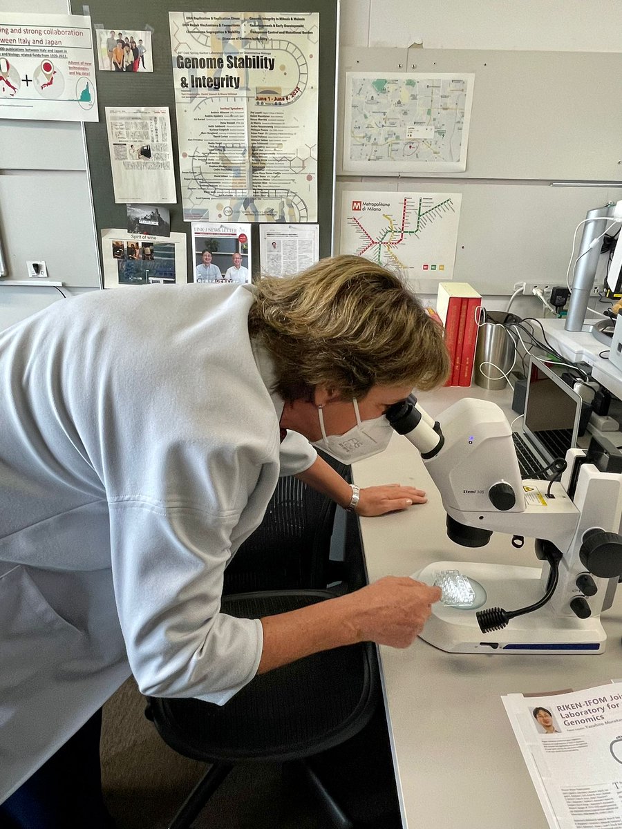 Ministero dell'Università e della Ricerca tweet media