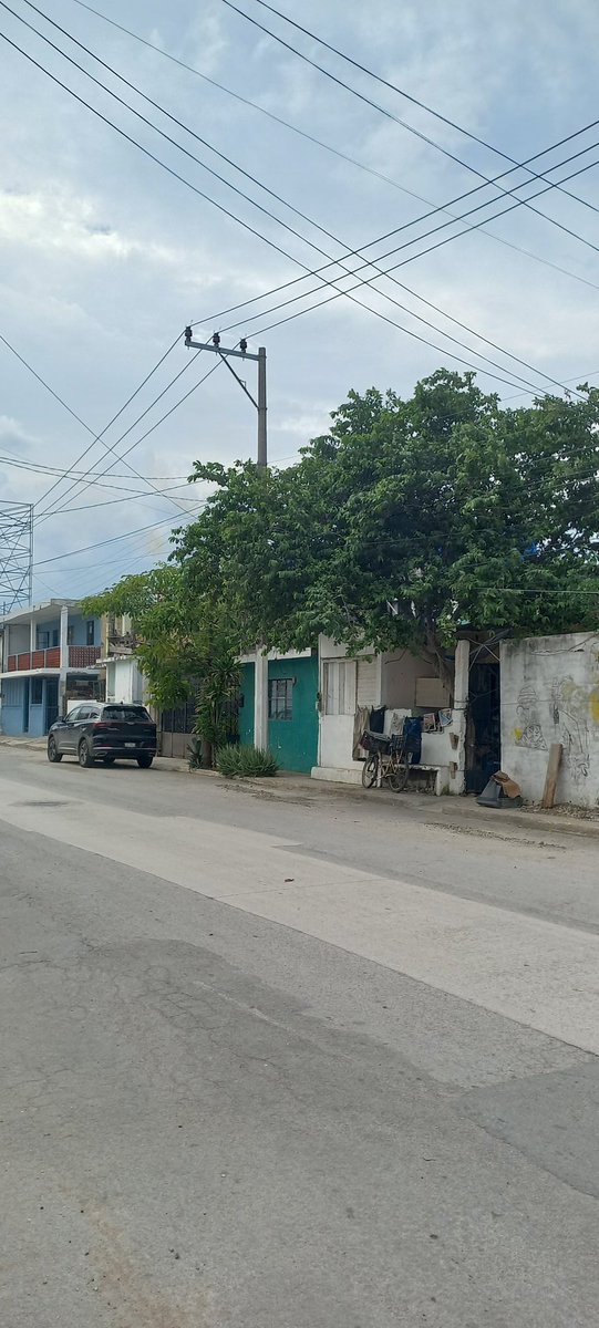 normiss200906's tweet photo. @CFE_Contigo nos podrían ayudar mandando cuadrilla a hacer corte de ramas en la oficina norte de tampico dicen que ustedes no hacen ese servicio tenemos un año pidiéndolo porque cada temporada de frentes fríos con el aire las ramas tumban los cables. Son tres domicilios https://t.co/8YNKZGBt3z