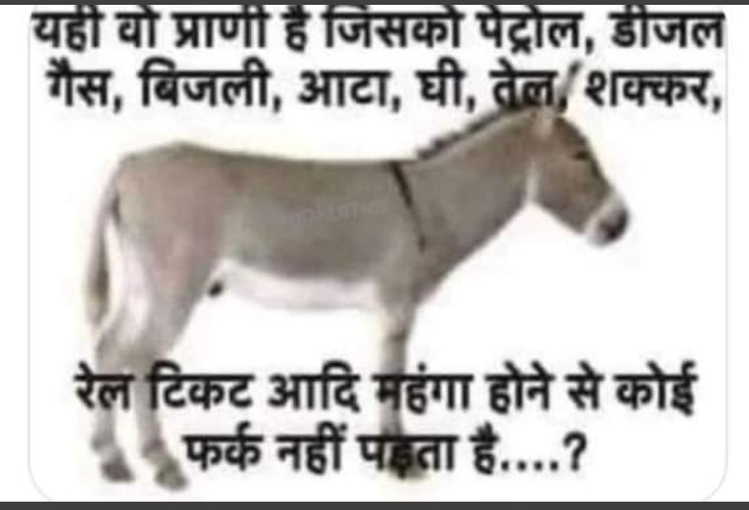 sandas patr tweet media