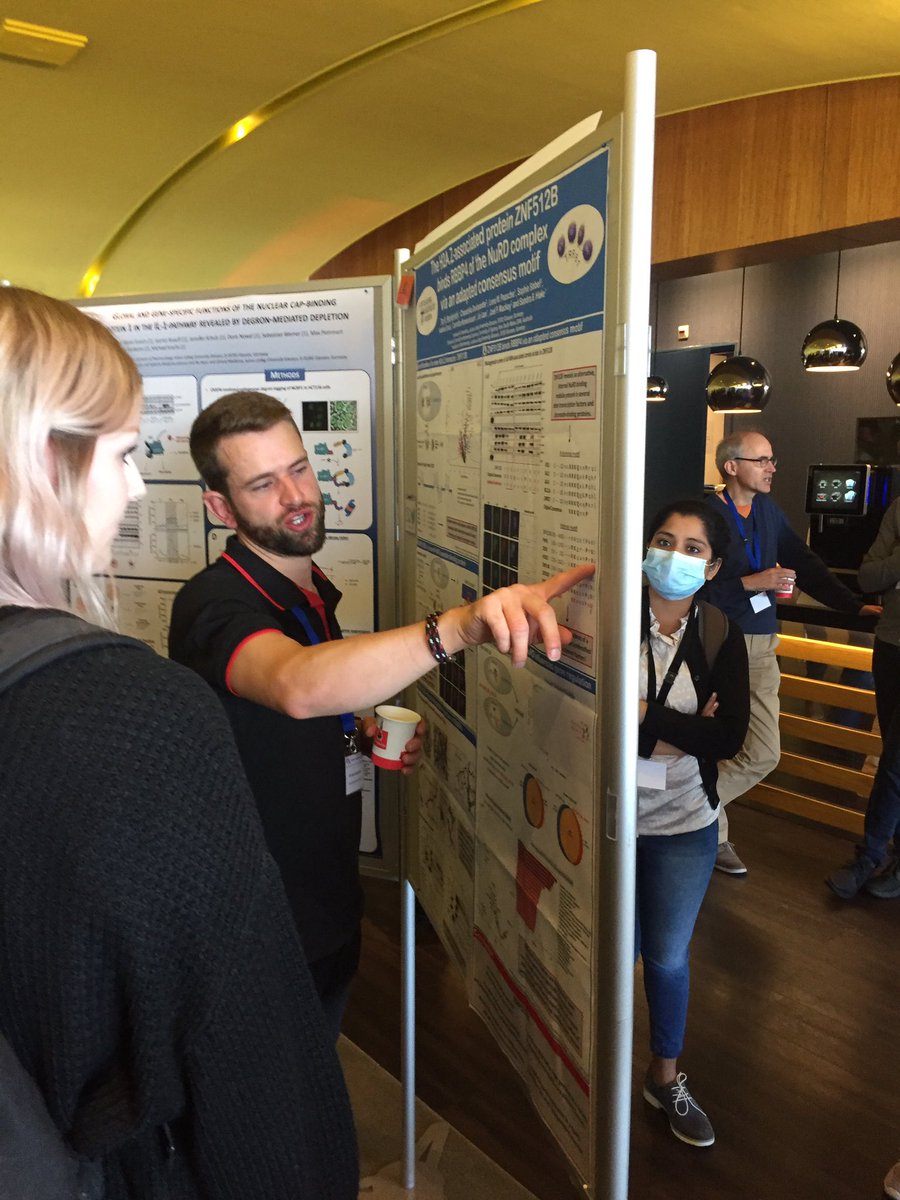 Hake_Chromatin's tweet photo. Inspiring discussions and great presentations of our team members @lenapsch, @AndyK4me3 and @TimMWunderlich during the poster sessions at the #TRR81symposium. https://t.co/TuxjbZ21Ol