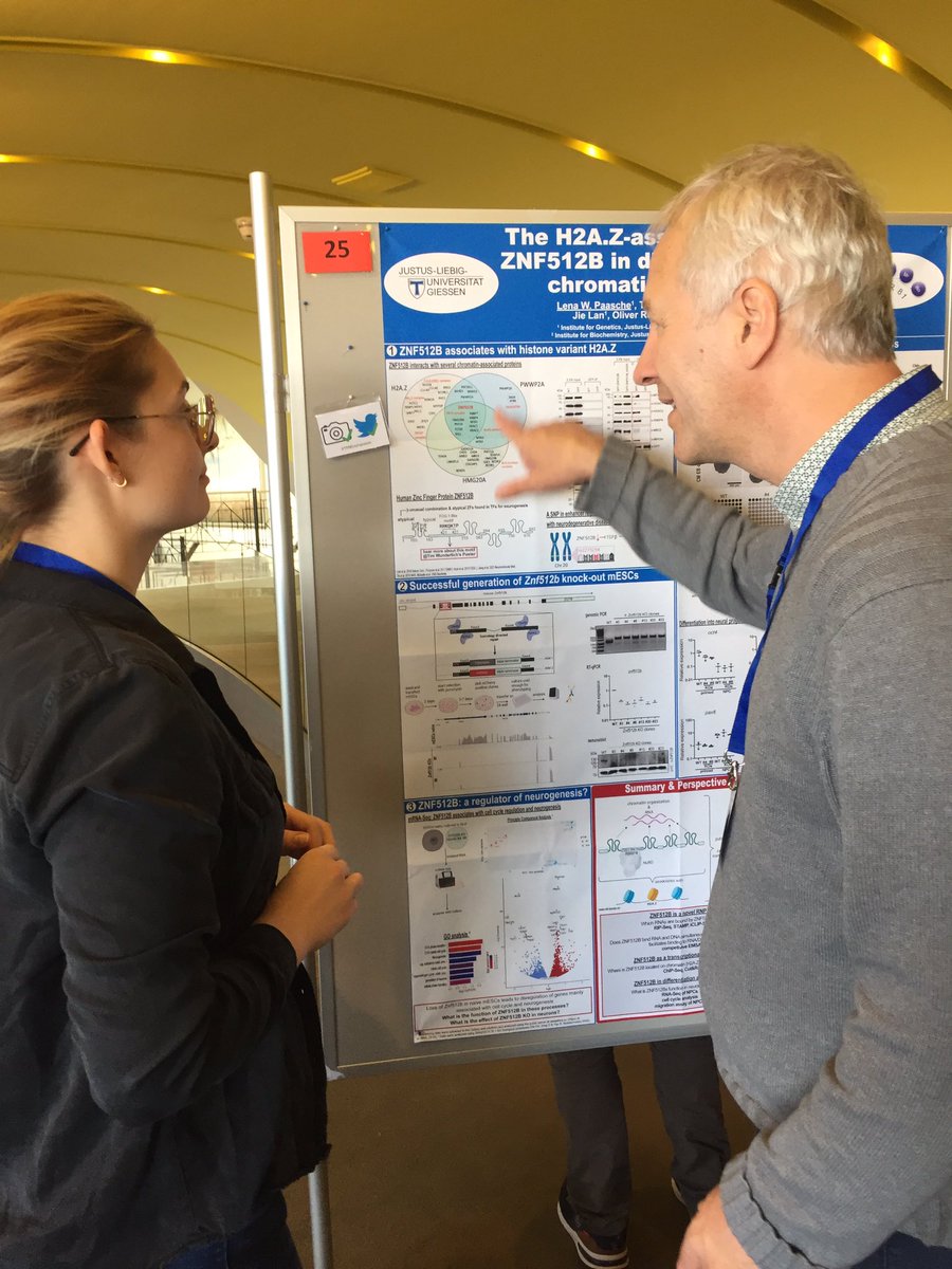 Hake_Chromatin's tweet photo. Inspiring discussions and great presentations of our team members @lenapsch, @AndyK4me3 and @TimMWunderlich during the poster sessions at the #TRR81symposium. https://t.co/TuxjbZ21Ol