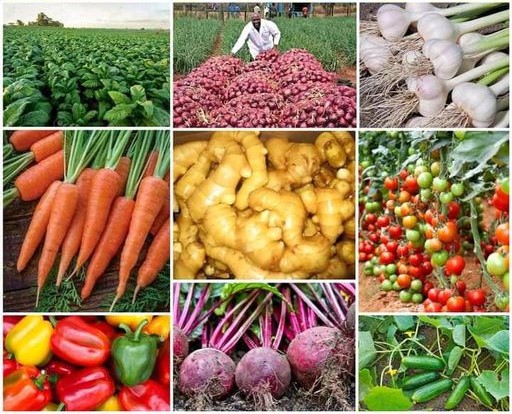 Agriculture is full of possibilities!