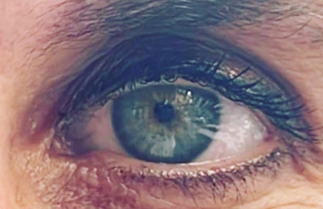 Tisha van Lammeren tweet media