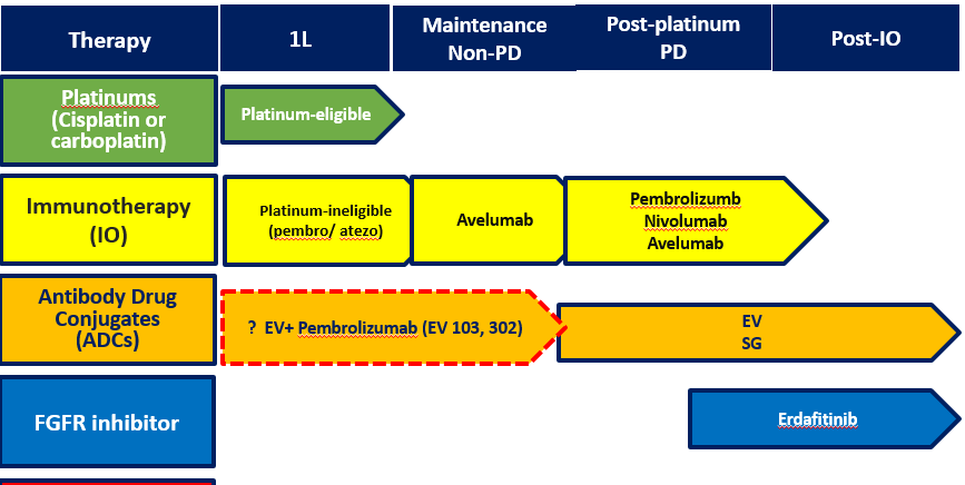 Uromigos (@uromigos) on Twitter photo The #UromigosLive #BladderCancer Poll 3: We have come a long way in drug dev in #BladderCancer since the 1st approval of IO in 2016!
Tx paradigm in 2022 (1/3)👇
<a href="/tompowles1/">Tom Powles</a> <a href="/DrRosenbergMSK/">Jonathan Rosenberg MD</a> <a href="/brian_rini/">Brian Rini, MD</a> The #UromigosLive #BladderCancer Poll 3: We have come a long way in drug dev in #BladderCancer since the 1st approval of IO in 2016!
Tx paradigm in 2022 (1/3)👇
<a href="/tompowles1/">Tom Powles</a> <a href="/DrRosenbergMSK/">Jonathan Rosenberg MD</a> <a href="/brian_rini/">Brian Rini, MD</a>