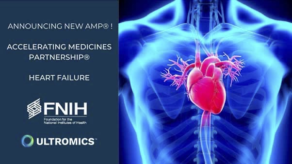 Ross Upton PhD (@drrossupton) on Twitter photo Thrilled to be joining the steering committee of this <a href="/FNIH_Org/">Foundation for the National Institutes of Health</a> $37m project to tackle the biggest unmet need in CV med #HFpEF
Follow me for updates on #Echofirst, #AI, #PrecisionMedicine and #HeartFailure
<a href="/ASE360/">American Society of Echocardiography</a> #WorldHeartDay <a href="/AHAScience/">AHA Science</a> #AMPHF
ultromics.com/press-releases… Thrilled to be joining the steering committee of this <a href="/FNIH_Org/">Foundation for the National Institutes of Health</a> $37m project to tackle the biggest unmet need in CV med #HFpEF
Follow me for updates on #Echofirst, #AI, #PrecisionMedicine and #HeartFailure
<a href="/ASE360/">American Society of Echocardiography</a> #WorldHeartDay <a href="/AHAScience/">AHA Science</a> #AMPHF
ultromics.com/press-releases…