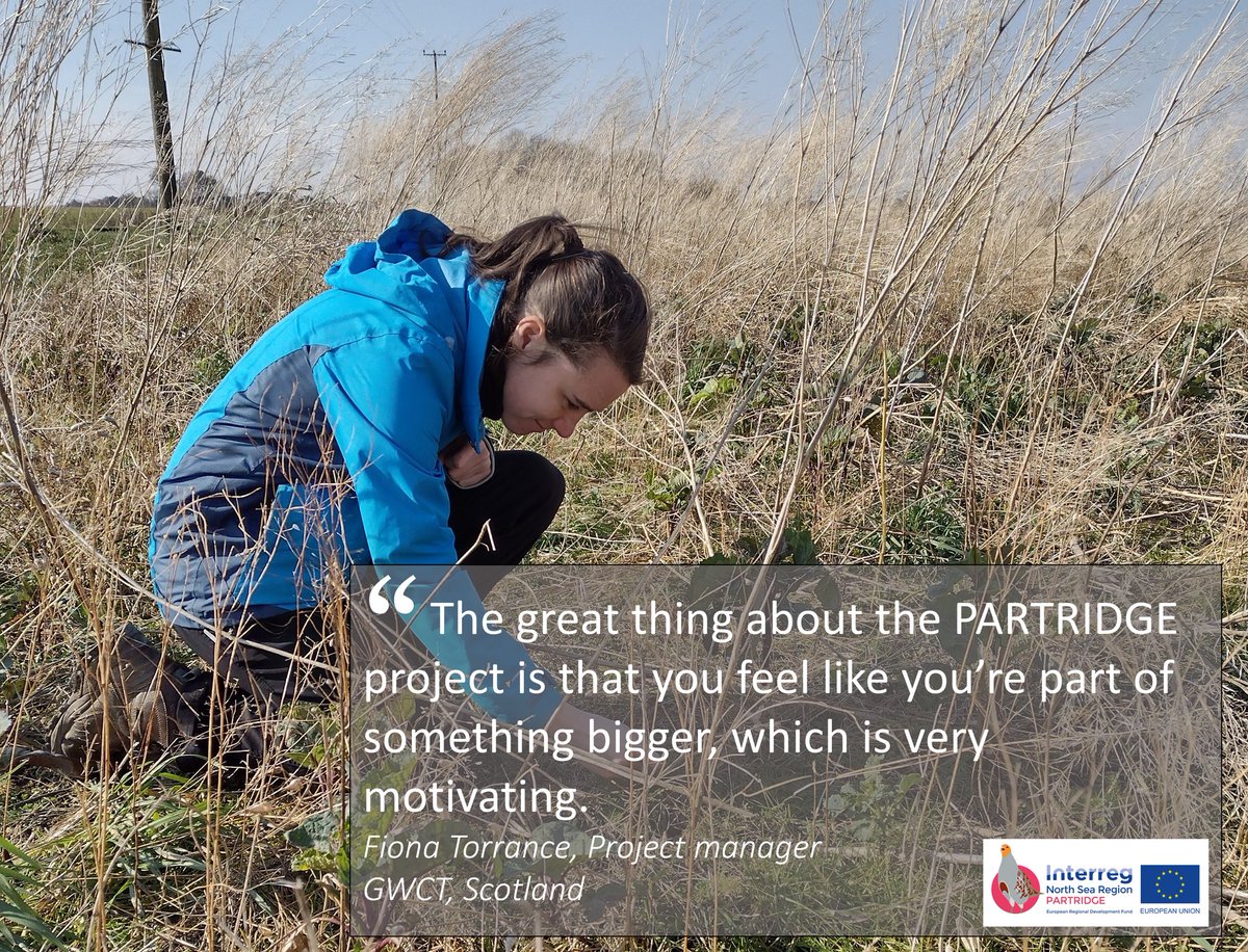 PARTRIDGE_net's tweet photo. Project quote from @fionntor, @Gameandwildlife Scotland. Read her latest blog to learn how being part of something bigger can improve our motivation as well as our #mentalhealth. https://t.co/2rWBvX4o5S #MentalHealthMatters #MentalHealthAwareness #feelingmotivated https://t.co/dYnl6yQH5f