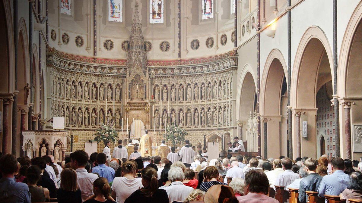 Ship of Fools tweet media