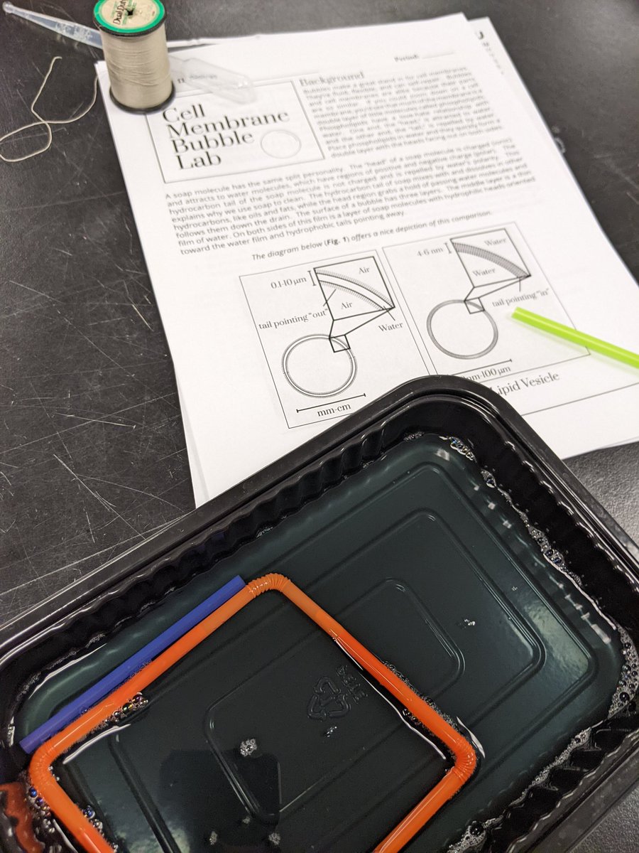 76_the's tweet photo. Bubbles, bubbles, and more bubbles -  we're examining the properties of membranes in SBI4U today :) #welovebiology https://t.co/HHy469OPw7