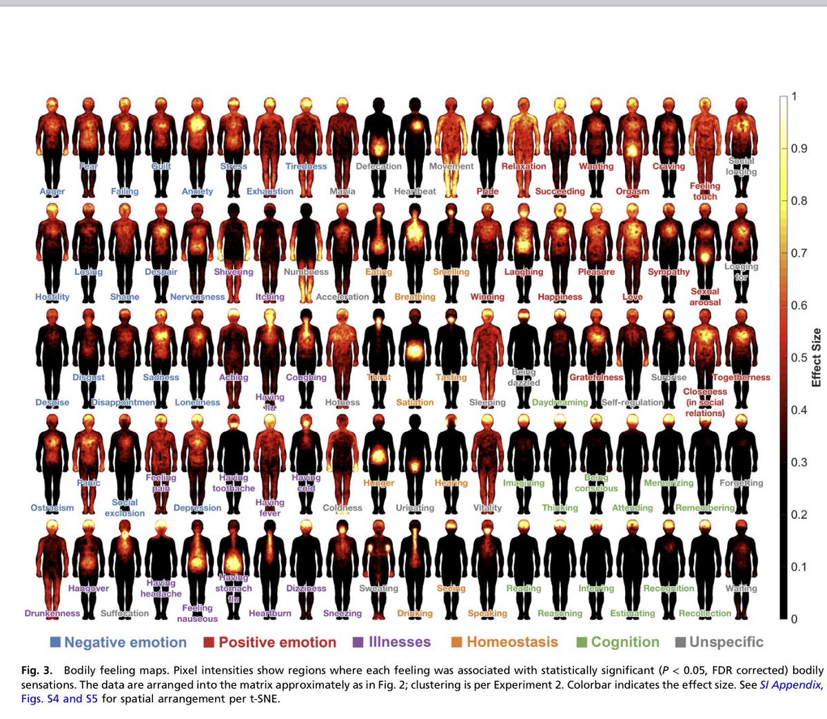 Very cool graphic where we feel emotions in our body. Thanks for sharing <a href="/OvertheMoon4you/">Over The 🌕</a> 

<a href="/RomeGastroPsych/">Rome PsychoGastroenterology</a> pnas.org/doi/10.1073/pn…