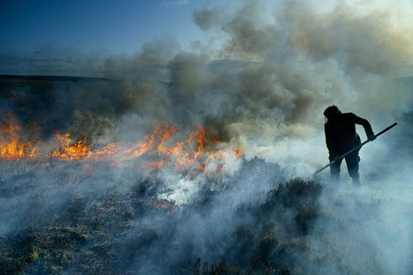 Spotted on the GWCT Blog posts

In late May Greenpeace launched a petition calling for a total ban on controlled burning in the UK uplands. In response, GWCT chief executive Teresa Dent CBE wrote the letter below to Greenpeace
Read the full response here gwct.org.uk/blogs/news/202…