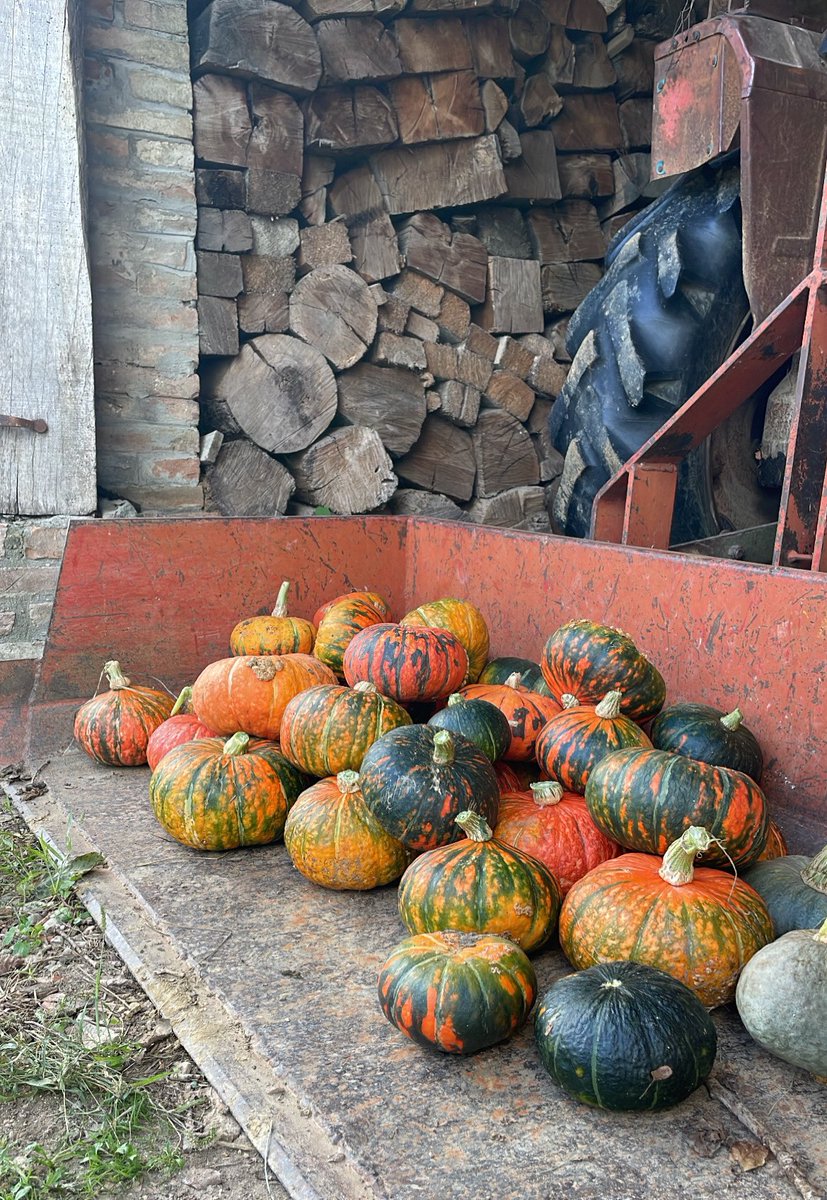 Autunno stagione prefe 🎃🍂