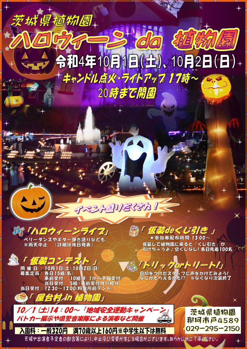 noco_nocooo's tweet photo. のこのこ。さんの急なライブ告知！(笑) https://t.co/f1qRMXMM22