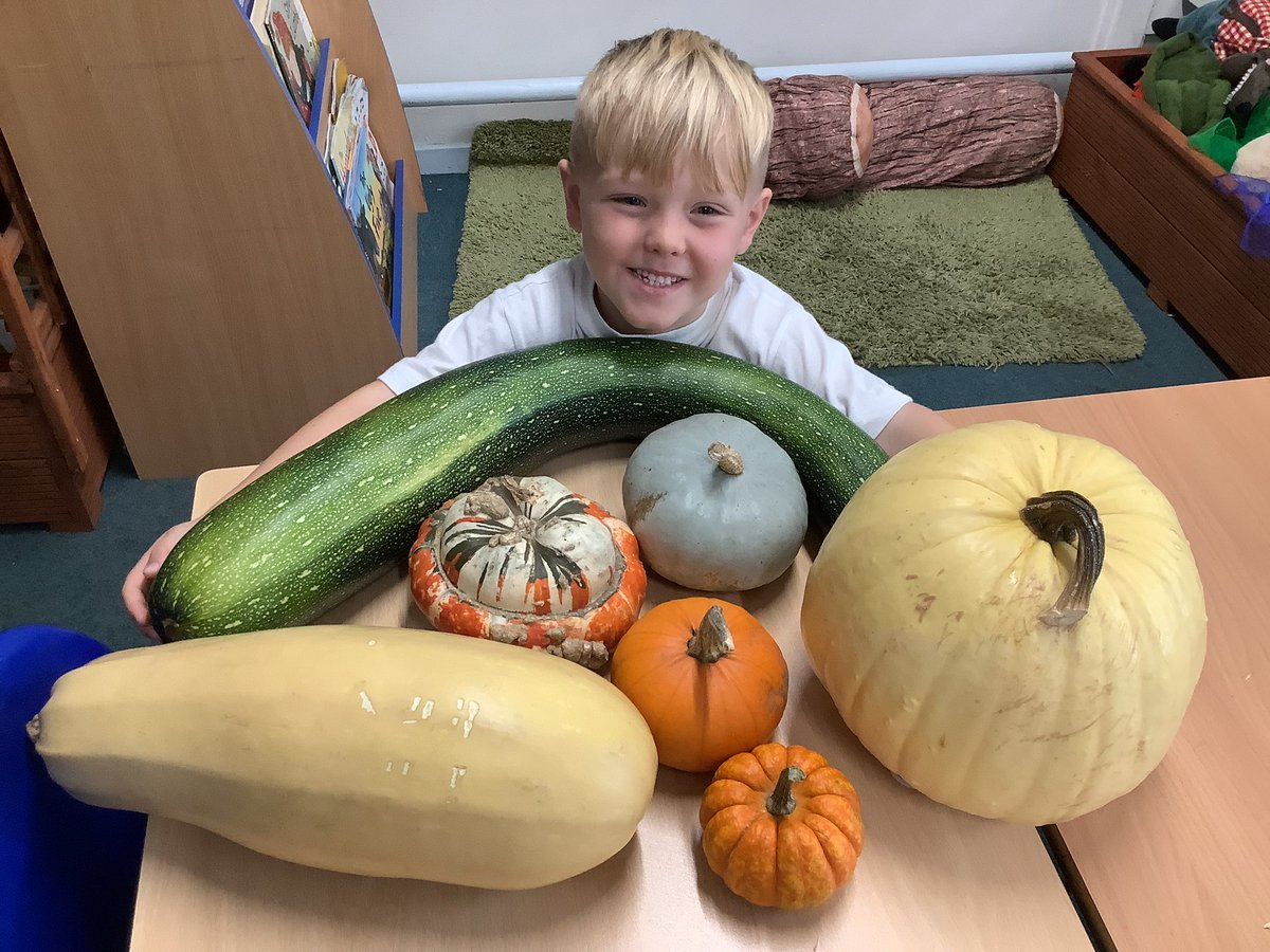 WhittingtonSch's tweet photo. Squirrels have got a great selection of veg on display courtesy of this young farmer from Sheepwash Farm πΏ has anyone got any tasty ideas of what we could use them for?! #massivemarrows #perfectpumpkins https://t.co/3aS85IgURg