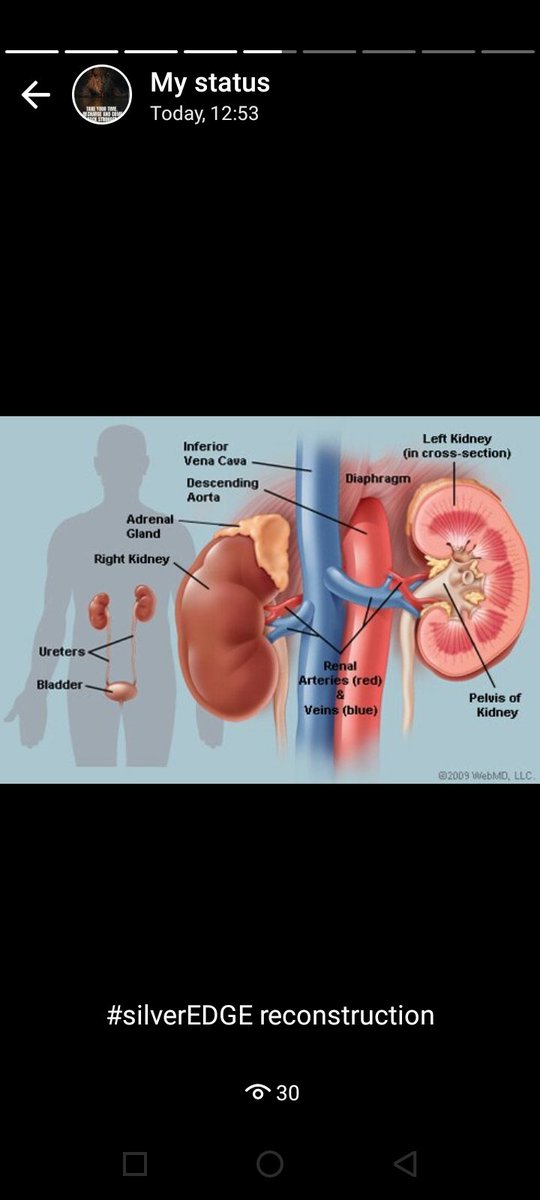 ellybanyambala's tweet photo. #silverEDGE remedy most intrinsic and powerefull REMEDY to habilitate and repair your heart ,kidney and body cells  anti BACTERIA and VIRUS  @AtoZ_onlinetz @ayubu_madenge @DRyoba @dr_makame @MabalaMakengeza @MwananchiNews @Jchris66283712 @mwanawasaM DR SAID LASSO +255688441144 https://t.co/lrXgCsTvpg