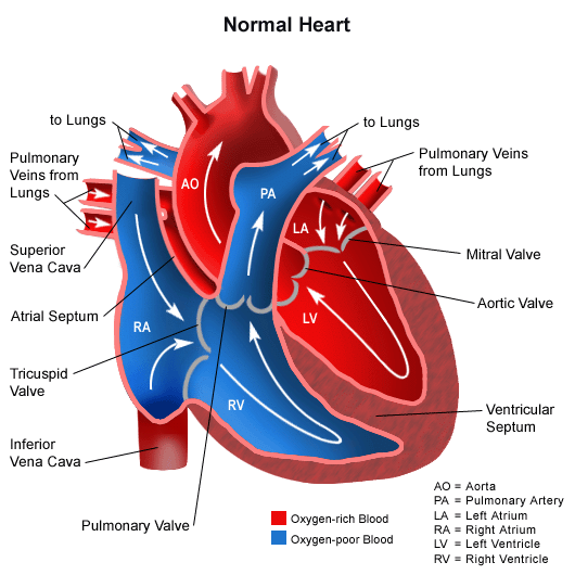 ellybanyambala's tweet photo. #silverEDGE remedy most intrinsic and powerefull REMEDY to habilitate and repair your heart ,kidney and body cells  anti BACTERIA and VIRUS  @AtoZ_onlinetz @ayubu_madenge @DRyoba @dr_makame @MabalaMakengeza @MwananchiNews @Jchris66283712 @mwanawasaM DR SAID LASSO +255688441144 https://t.co/lrXgCsTvpg