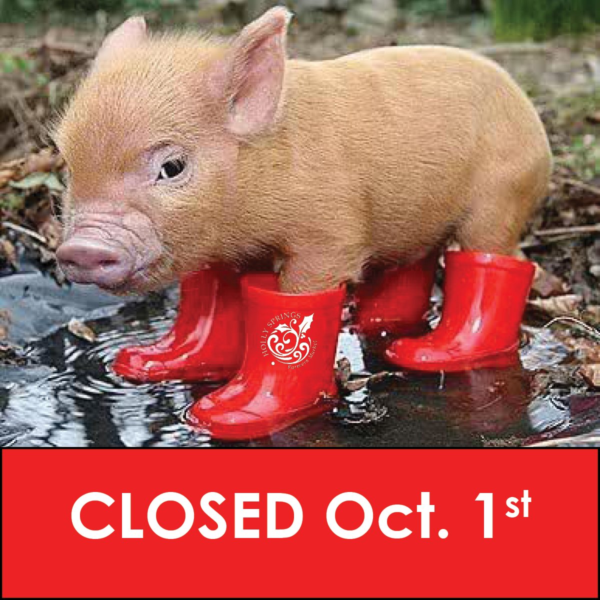 We will be closed this Saturday (10/1) because of the hurricane. WEEKLY markets will continue next week with 30+ vendors (including a few new ones!) Stay safe, y'all!