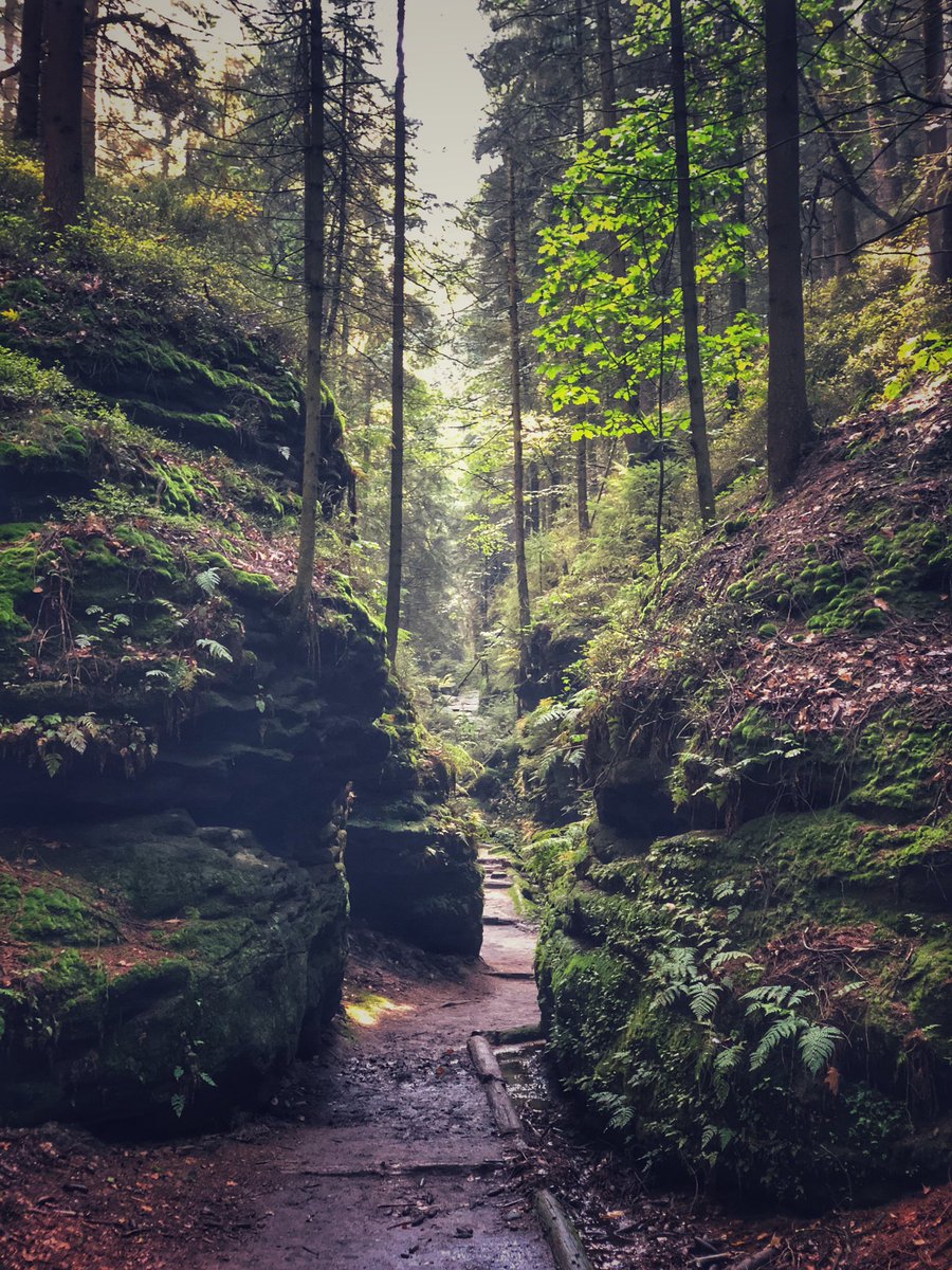 Hochtouren's tweet photo. heute wieder mal Wandertag Sächsische Schweiz #Wehlen #Höllengrund #Sandstein https://t.co/hIuZyWWaHR