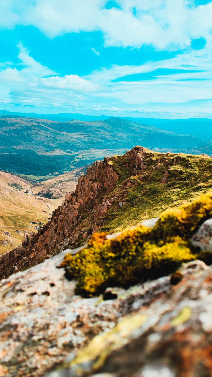 xwolfskin tweet media