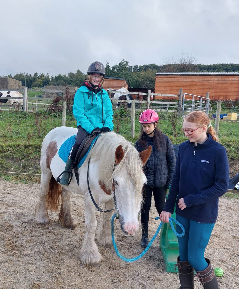 LadybridgeLs's tweet photo. Ladybridge learners gaining WISDOM qualities one horse at a time! More pics to follow @LadybridgeHigh @BLPSENDHub @HeadLadybridge @bernadette_OH https://t.co/wtw6gftGTa