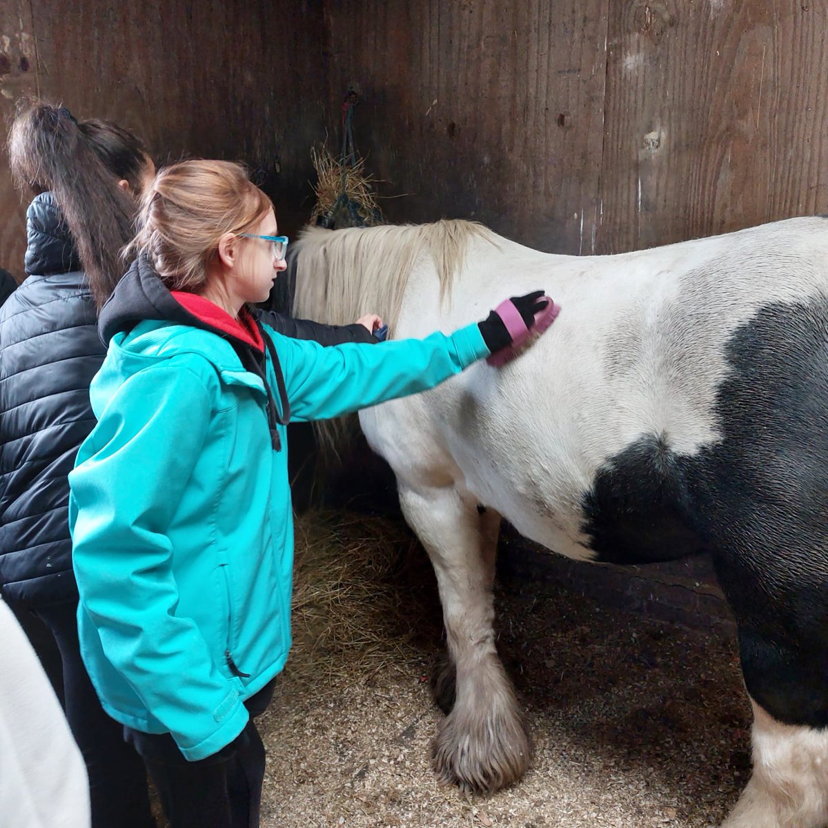 LadybridgeLs's tweet photo. Ladybridge learners gaining WISDOM qualities one horse at a time! More pics to follow @LadybridgeHigh @BLPSENDHub @HeadLadybridge @bernadette_OH https://t.co/wtw6gftGTa