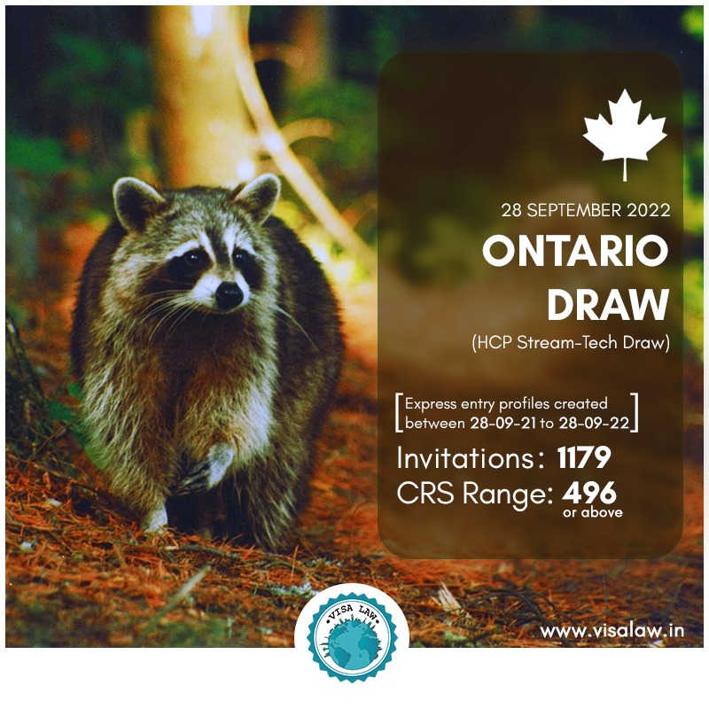 VisaLawFirm's tweet photo. Latest #ExpressEntry Ontario PNP Draw-28 September 2022🇨🇦
Congratulations to all invited applicants!💐
#VisaLaw #PNP #CRS #Ontario #Canada #Immigration #ImmigrationNominationprogram #visalawfirm #LawFirm #VisaLawVerified #VisaLawyer #LawFirm #canadavisa #ImmigrationLawyer https://t.co/cHmY55dxK7