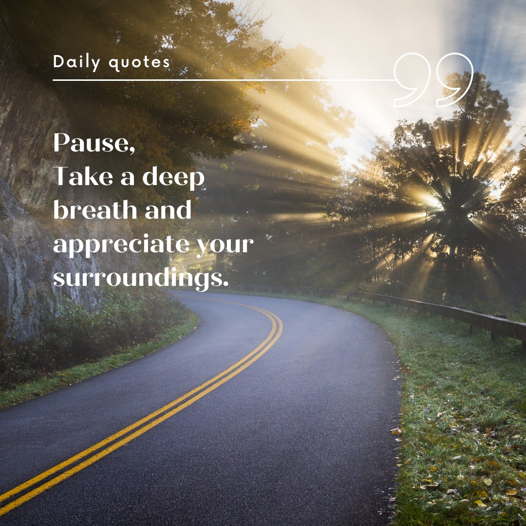allovernc's tweet photo. Pause,
Take a deep
breath and
appreciate your
surroundings.

#dailyquote https://t.co/IaXva389aR