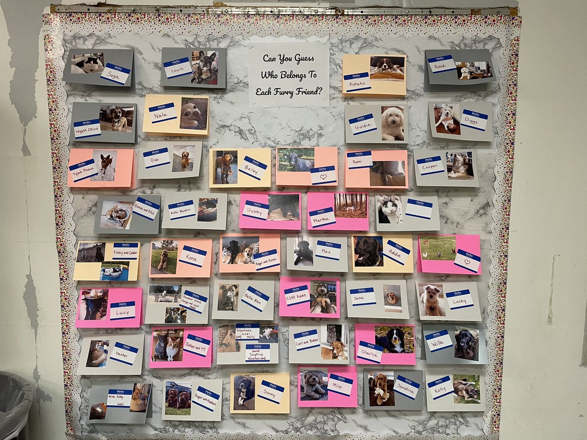 VGashlin's tweet image. Brightening up the construction zone with a little engaging board for students!  Guess who these furry friends belong to!  #canandaiguacsd  #ccsd  #onebravesfamily  #canandaiguaproud