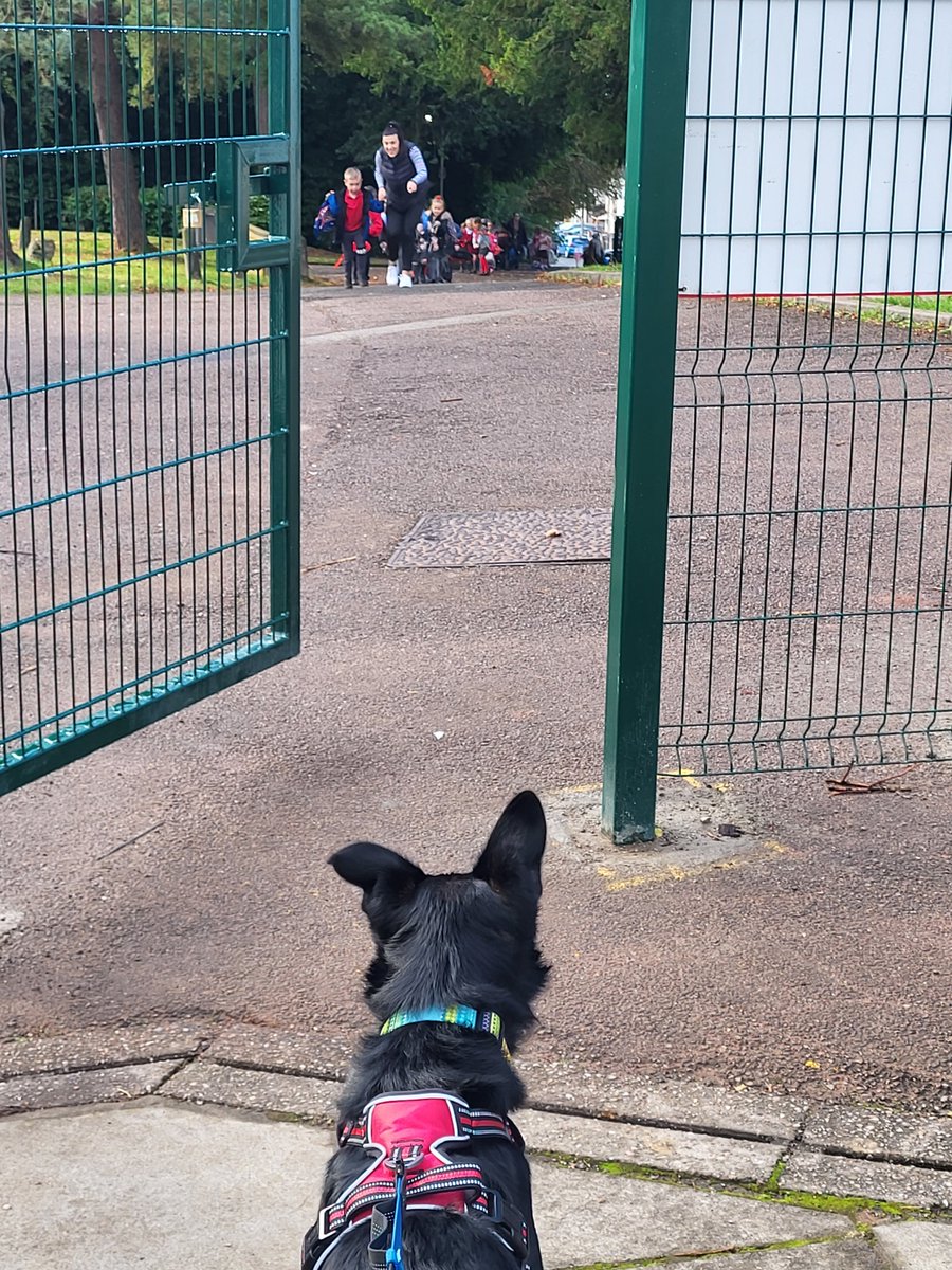 Tal was very excited to met the children at school this morning! #TeamMillbrook #ProudtobeMillbrook