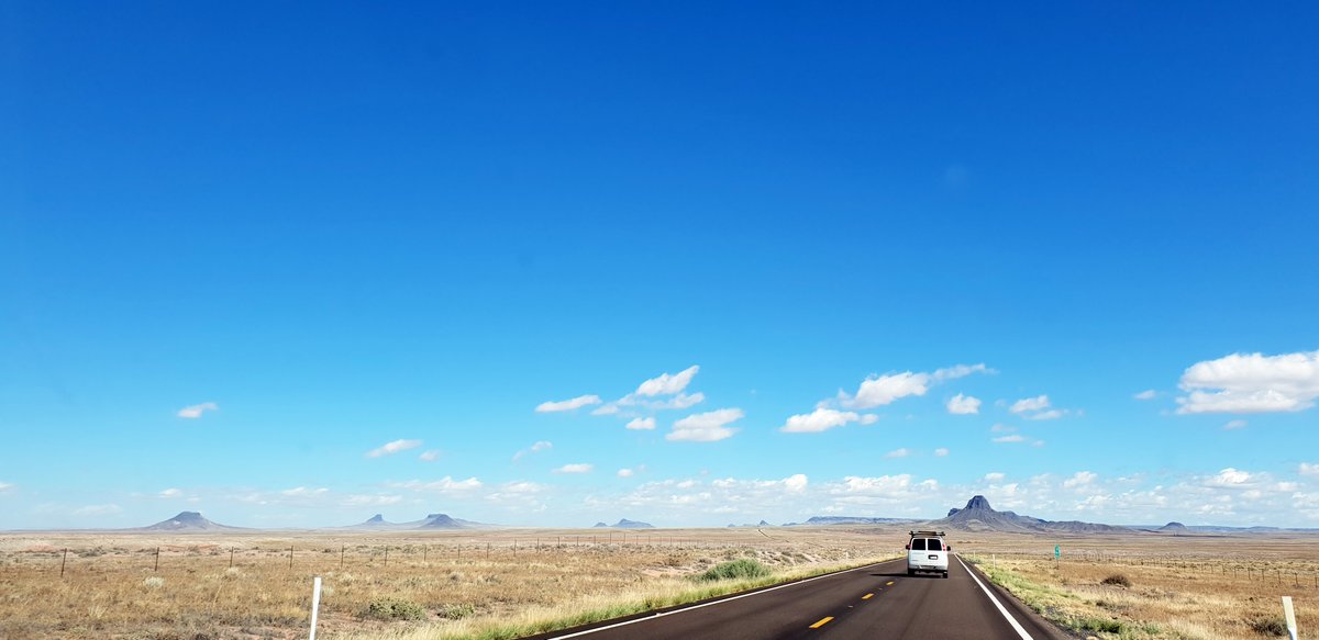 Franek Wardyński tweet media