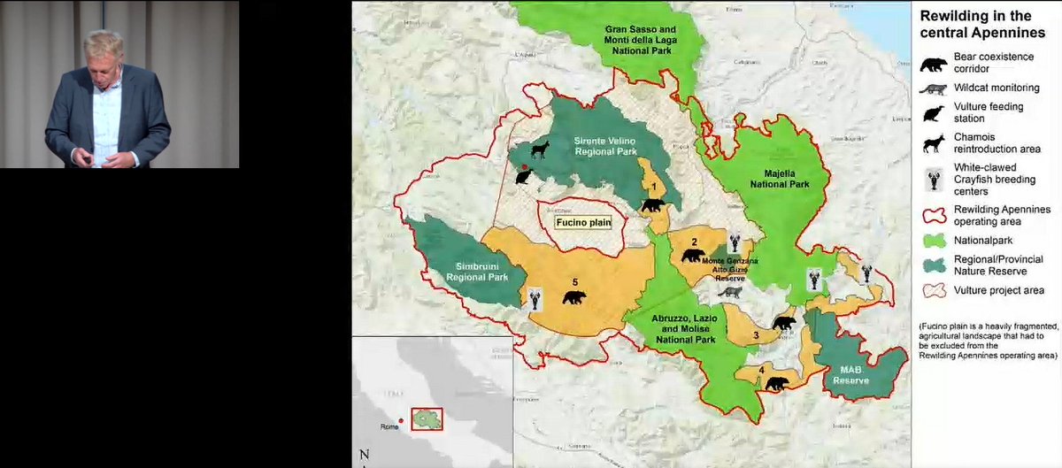 Frans Schepers from @RewildingEurope about 'co-existence corridors' for wildlife and humans.

The orange areas in this picture from Italy. #RewildingSymposium