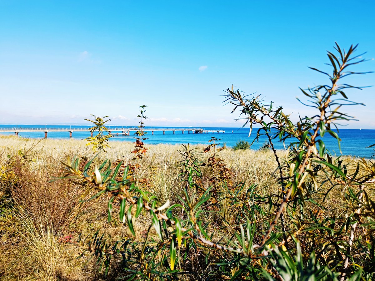 #Herbst im Ostseebad #Göhren auf der Insel #Rügen ...
 goehren-ruegen.de/service/livebi…